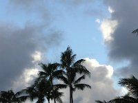 2006-12-06Oli'sBeach (18)
