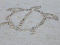 2006-12-06Oli'sBeach (9)
