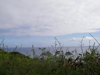 IMGP0425