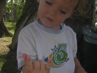 park time 004  Sammy is getting good at the "Shaka" (not shown) and "rock on" signs! (There are many ways to say "I'm TWO!")