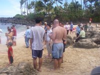 IMGP1585  And look at all the people who gathered around to see them! I volunteered to be a Hono (Turtle) Guardian for NOAA. Looking forward to it - a way to ensure I get to the beach regularly and also get to help educate the public about these endangered creatures.