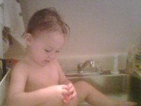 IMG00130  He got to choose shower or sink. He chose the sink. He likes to recline for his baff.