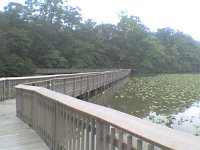 ATT00018  The floating bridge. These are cell-phone pictures, so not too clear. There is a large bird sitting on the rail, but I'm not sure you can find it!