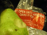 IMGP4399  The fruit had a funny label - DO NOT OPEN UNTIL AIRBORNE. You could imagine all kinds of nefarious tricks this pear might pull if you happened to let it out before taking off. Hmmm...what would a pear get into....