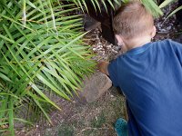2008-03-23BackyardEggHunt (3)