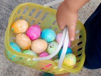 2008-03-23BackyardEggHunt