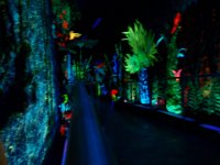 P7230013  I want to decorate Sam's room this way - it was all glow-in-the-dark sea scenes in 3D. Very cool!