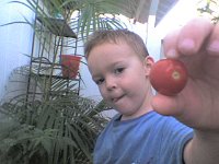 ATT00155  Sam harvesting goodies for our salad.