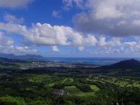 P8190001  Another fun hike down the Old Pali Rd. Gorgeous views of the windward side!