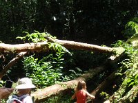 p8050022