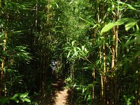 P1310023