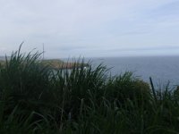 P4230087