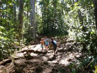 P6300029  Great day on Pu'u Pia. Love that trail! Great company - awesome to be out on the trail with them. Before I forget, we talk about lots of things on the trail, and Kathy and I are always so happy to be out with the kids. You never know when a lesson from the trail will be informative in "real" life. Like...