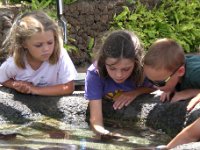 tidepool 3 kids