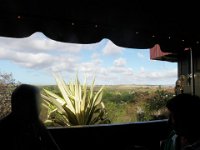 P1010113  Out to breakfast before hitting Waimea Canyon. Such nice views of a rural area. Kauai is so relaxed with far fewer people living there than O'ahu (60,000 or so vs almost a million).