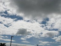 IMG 0105