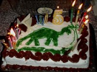 P1270020  Like our dino cake? I put every candle in the house on there. Sam's wish: to write a note to the teacher when he goes to school. Sweetness.
