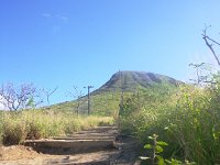 IMGP0271  Dave let me design this date for the holiday on Monday while mom graciously played with the kids for 8 whole hours! This is Koko Crater - 1048 stairs to climb about 1200 ft up to the top of this volcano.
