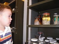 IMGP0183  Preserved specimens.