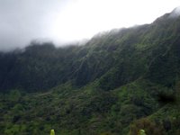 2010-03-23MaunawiliDemoAndFalls (27)
