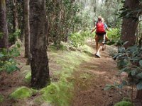 2010-03-23MaunawiliDemoAndFalls (29)