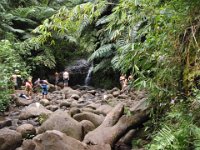 2010-03-23MaunawiliDemoAndFalls (35)  Almost there.