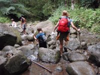 2010-03-23MaunawiliDemoAndFalls (39)
