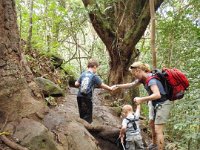 2010-03-23MaunawiliDemoAndFalls (41)  Ben has my hiking pole, too!