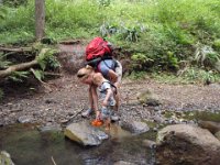 2010-03-23MaunawiliDemoAndFalls (45)  Cleaning them off on one of the three stream crossings.