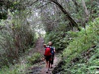 2010-03-23MaunawiliDemoAndFalls (5)  Well-maintained trail is 10 miles long, from Pali to Waimanalo. I'd like to trail-run it this year for my birthday :)