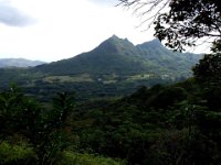 2010-03-23MaunawiliDemoAndFalls (9)  Great views along the contours of the Ko'olaus.