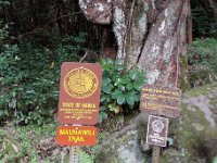 2010-03-23MaunawiliDemoAndFalls
