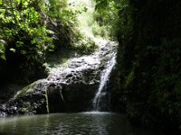 IMGP0952  Almost a mile later you reach Maunawili Falls! It's very popular just about any day of the week or time of the year.