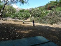 L1010913  Out on a bike/run at Koko Crater Botanical Garden.