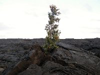 IMGP2688