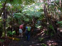 2011-01-30BigIslandNiaulaniRainForest (10)