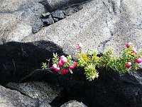 IMGP2675