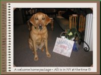 SnipImage(6)  So Dave was getting home from sea while I was traveling in NY for Merck. I guess I left him a package and a sign :)