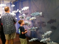 fish  Swimming through the fish!