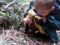 IMAG0687  Showing Foster a new friend - a fellow banana slug on OUR trails! Enjoying the mulch salad bar no doubt!