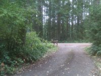 IMAG0943
