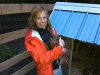 Alli and HollyRamona  Sweet girl - I just love her. She was so cuddly when the new hens arrived. After a lot of love and attention and helping her get on her own two feet she is thriving now. I even gave her water from a dropper. Now she is much more independent and stands up to the other hens when need be. Even Merlin!