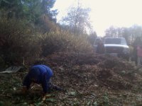 IMAG1066  Now it's mulch-pile time. Man did they have fun! Like a snow pile, but warm mulch!