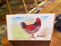 mom recipe box  I decopaged a recipe box for mom with some hen paintings :)