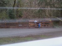 IMAG1362  From inside - so cute to see him communing with his chickens. He spends a lot of time watching them and talking to them.