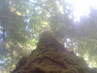 IMAG0287