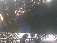 IMAG0292