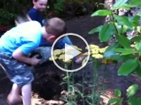 planting with Ben  This is a hysterical 47 seconds of gardening with Ben...