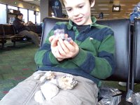 Pic-11232012-004  Somehow Sam had all these rocks in his pack. I had no idea. They made it through security ok! I am amazed!