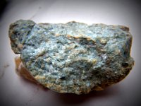 IMGP9839  The peridotite. We are still really excited about this find. Peridotite is from the mantle, so 10s of miles down. Rocks are formed during a huge, long composting process. Some are formed quickly during volcanic eruptions, others undergo the glacial till to rock process much more slowly. These rocks can work themselves up to the crust (where we have a chance of finding them). Eventually they may find their way back down to the mantle as the tectonic plates move over each other. I think I sort of understand. I'm sure I'm vastly oversimplifying and missing a lot. It is so fun to have this world literally opened up under our feet. I am so thankful for curious boys!